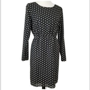 J. Crew Long Sleeve Polka Dot Dress